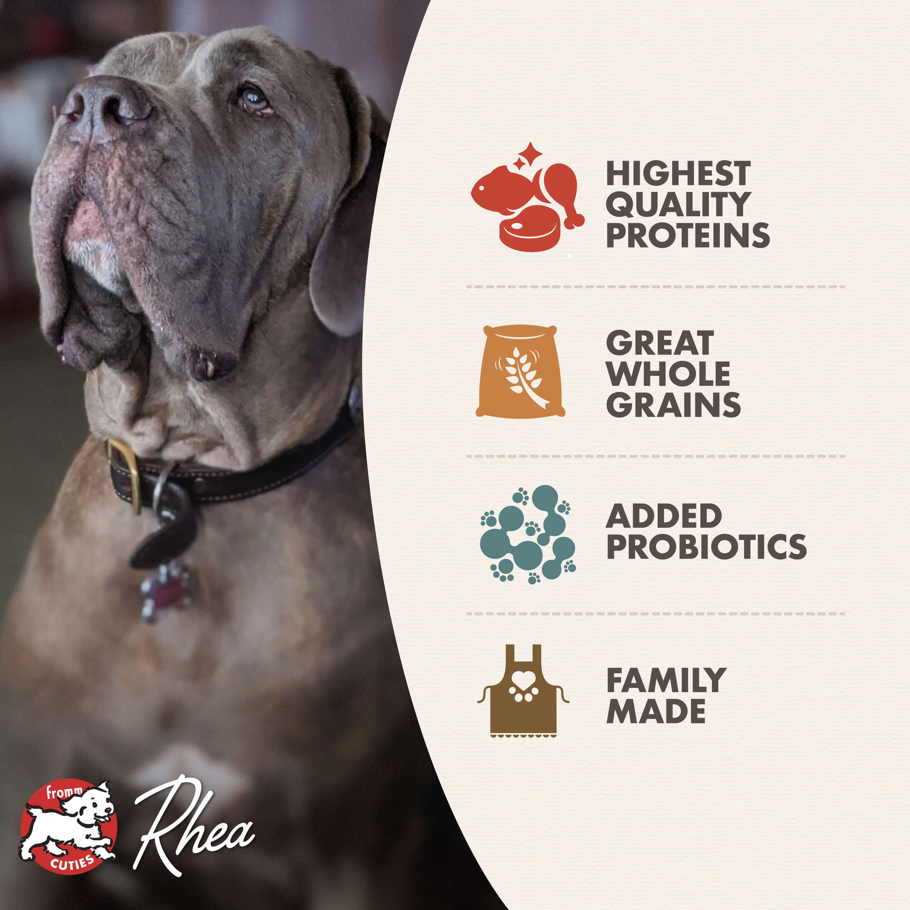 Classic Adult Large & Giant Breed | FrommFamily.com - Fromm Family